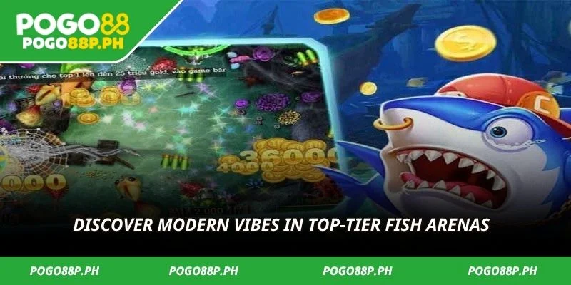 Discover modern vibes in top-tier fish arenas