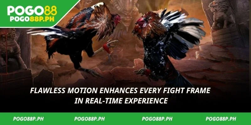 Flawless motion enhances every fight frame in real-time experience
