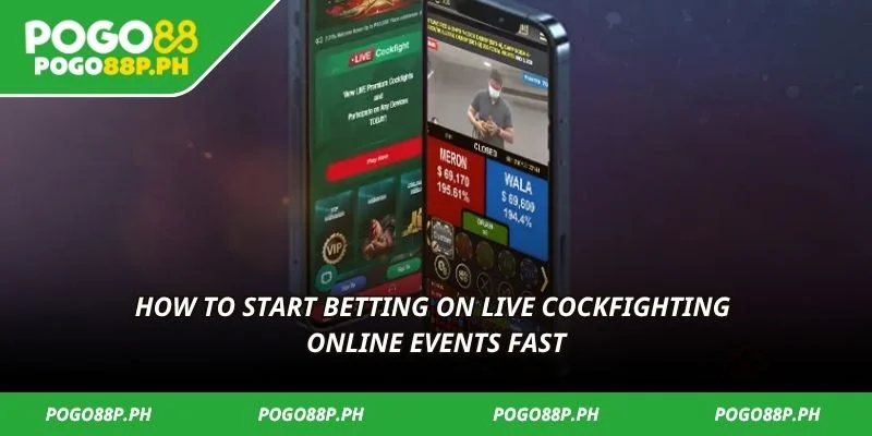 How to start betting on live cockfighting online events fast