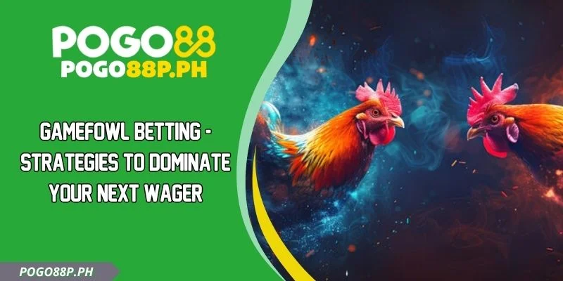 Gamefowl Betting - Strategies To Dominate Your Next Wager