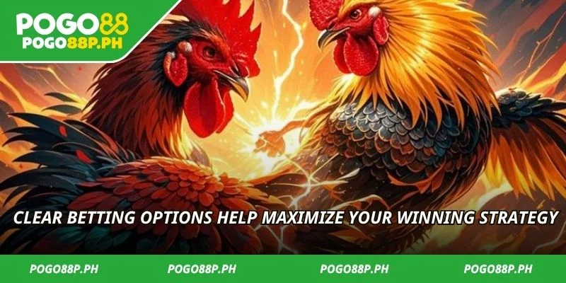 Clear betting options help maximize your winning strategy