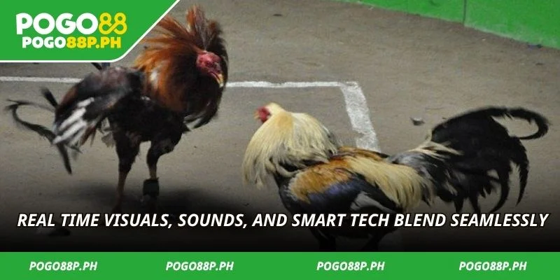 Real  time visuals, sounds, and smart tech blend seamlessly
