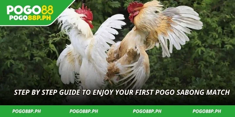 Step by step guide to enjoy your first POGO SaBong match