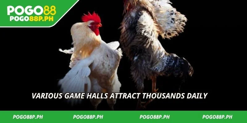 Various game halls attract thousands daily