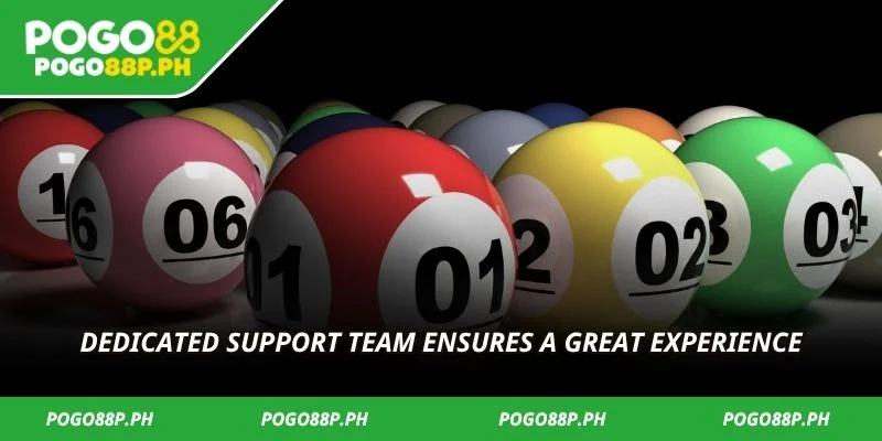 Dedicated support team ensures a great experience